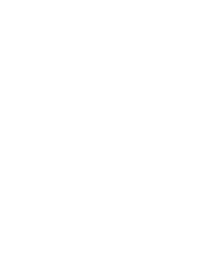 ZILR