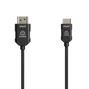 ATOMOS Mini HDMI 4K60p 45 cm_1