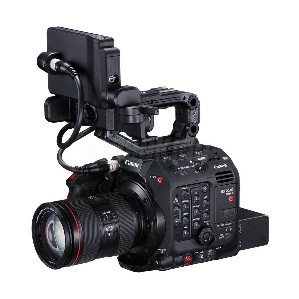 C300 mkIII-2