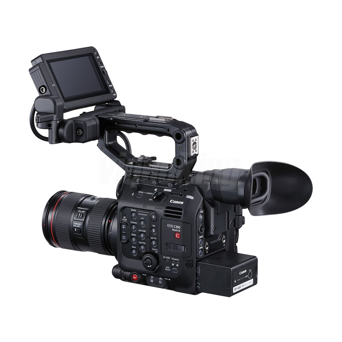 C300 mkIII-4