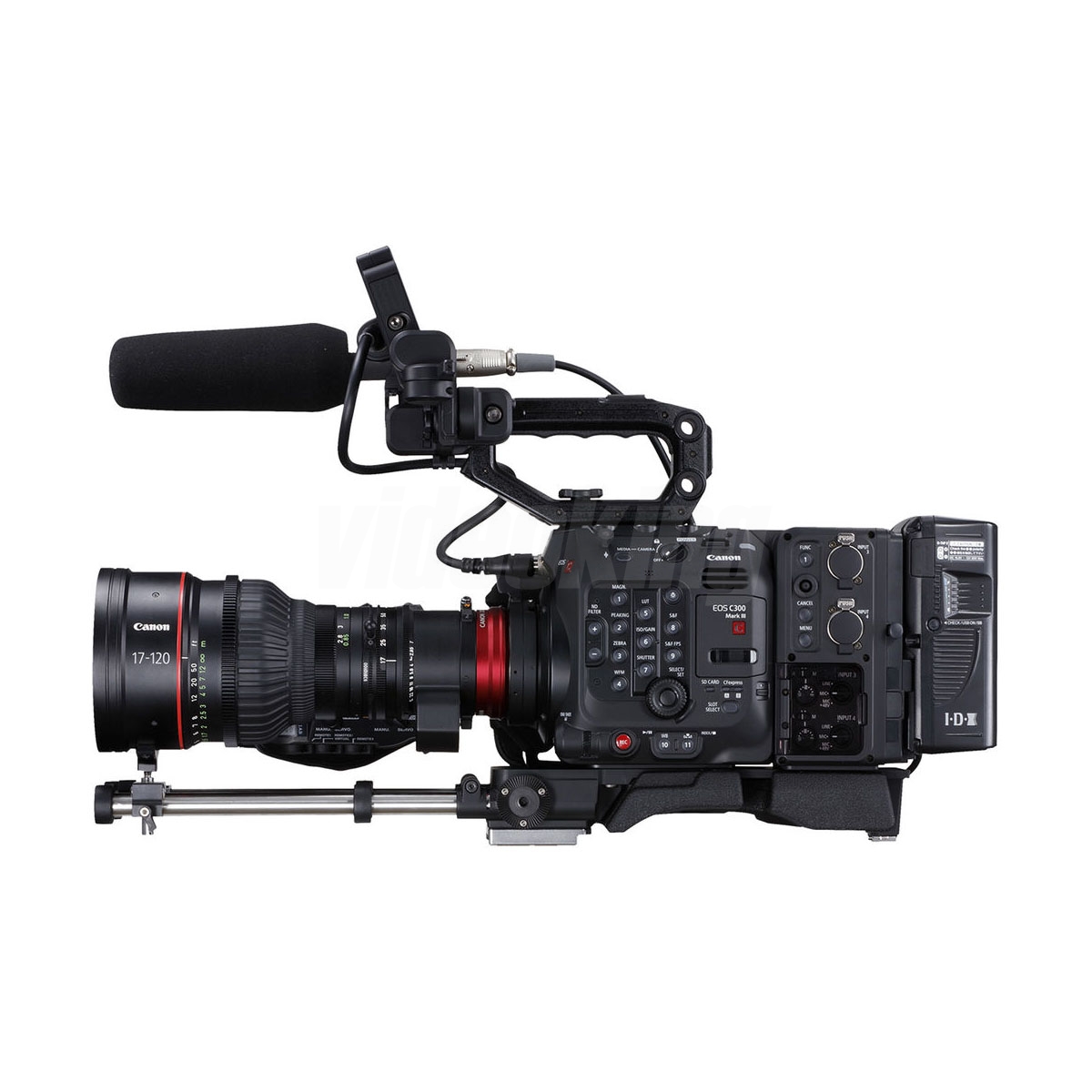 C300 mkIII-5