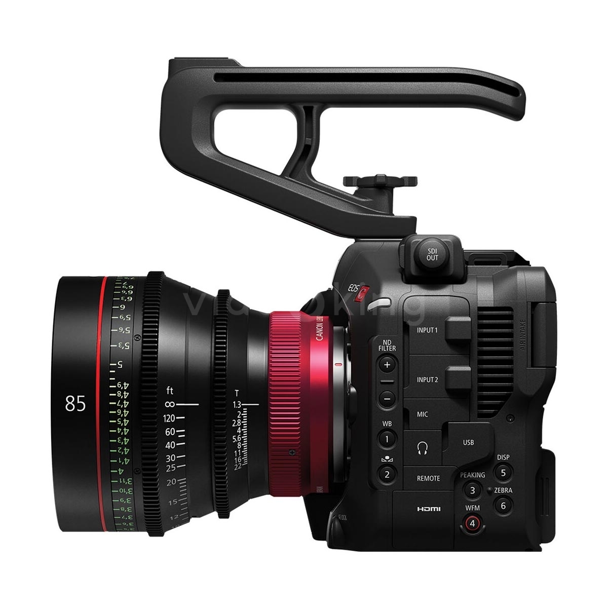 Canon EOS C80-11