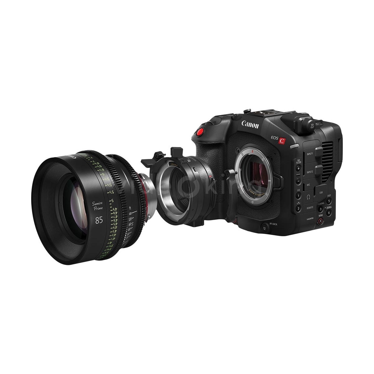 Canon EOS C80-12