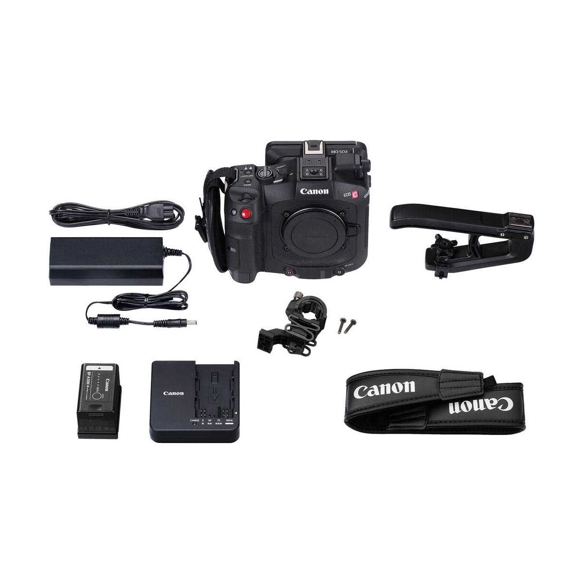 Canon EOS C80-6