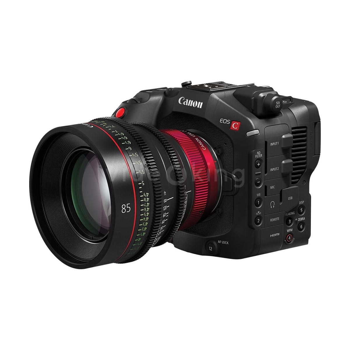 Canon EOS C80-8