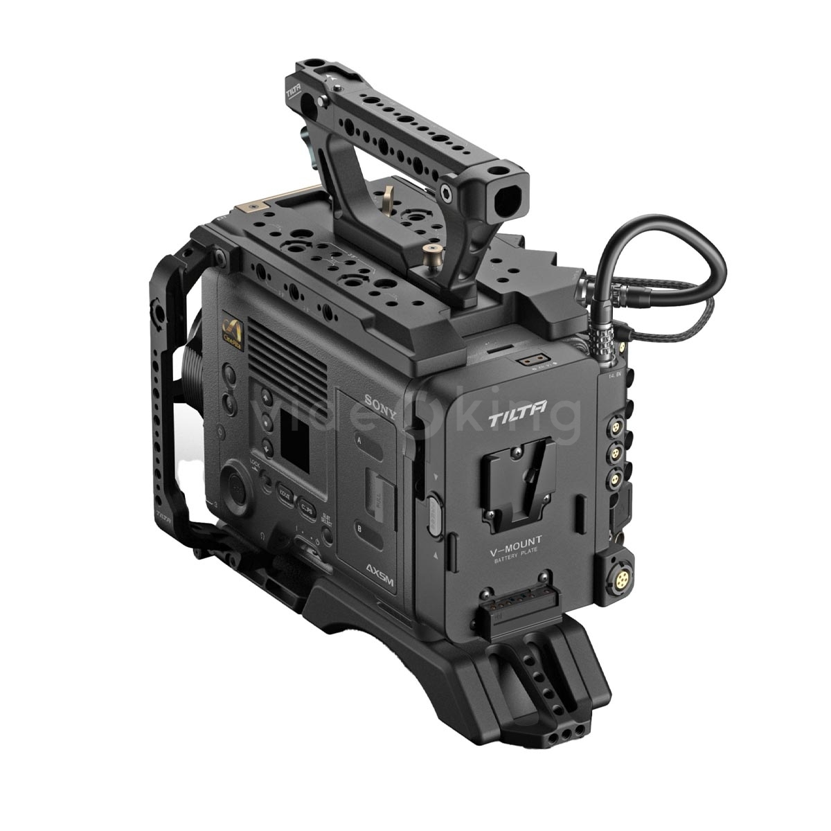 ESR-T15-V-1