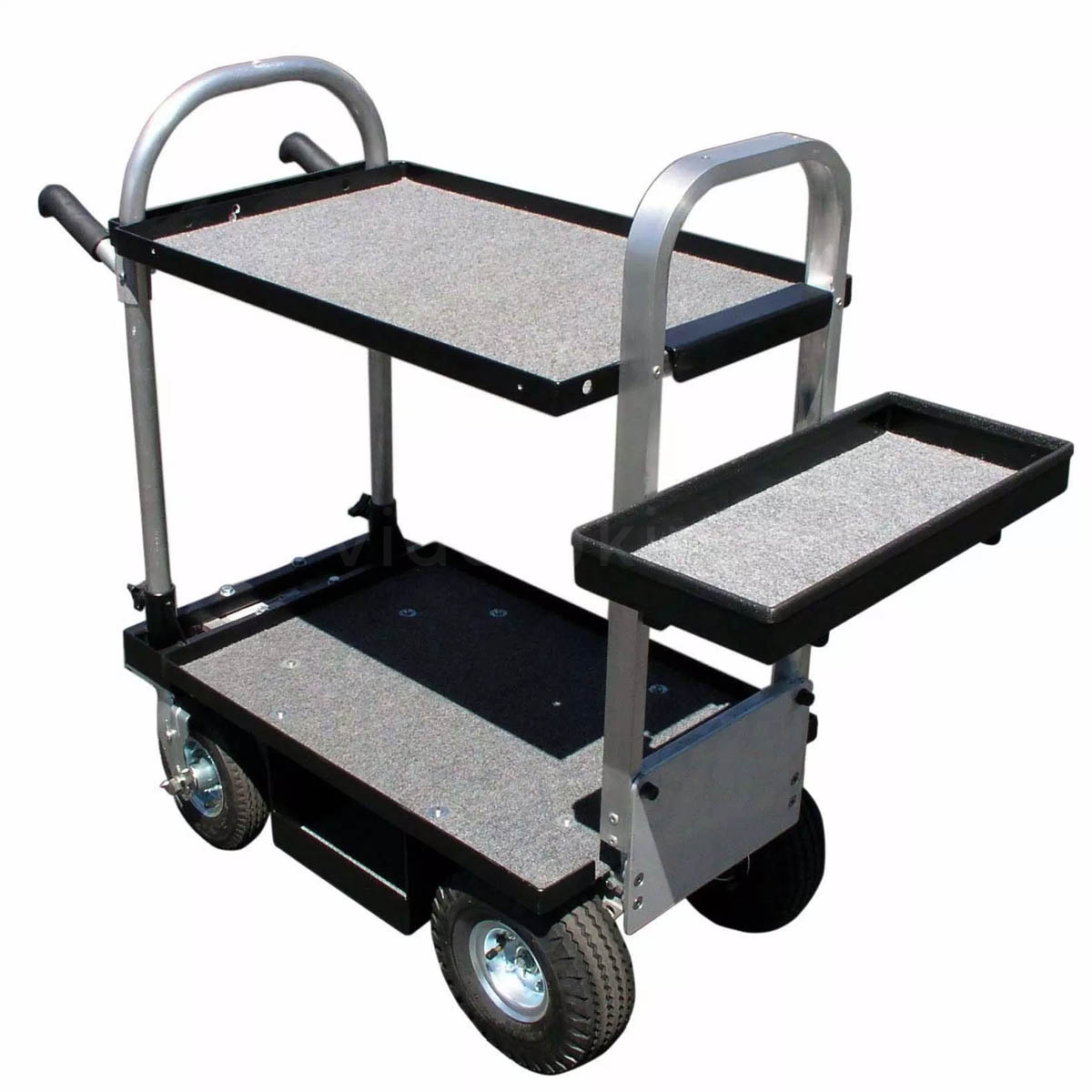 Magliner Nose Nagra Shelf