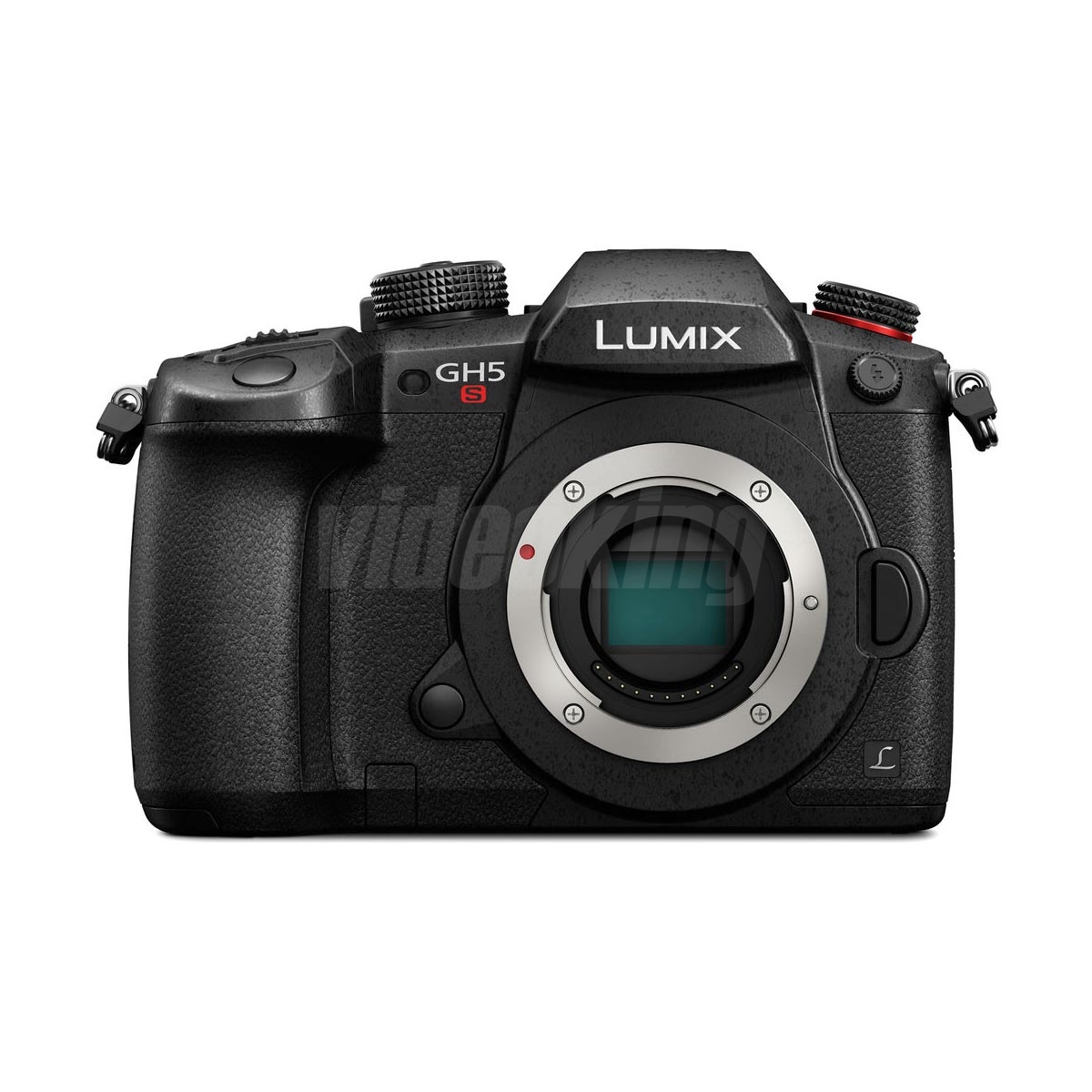 Panasonic GH5S-1
