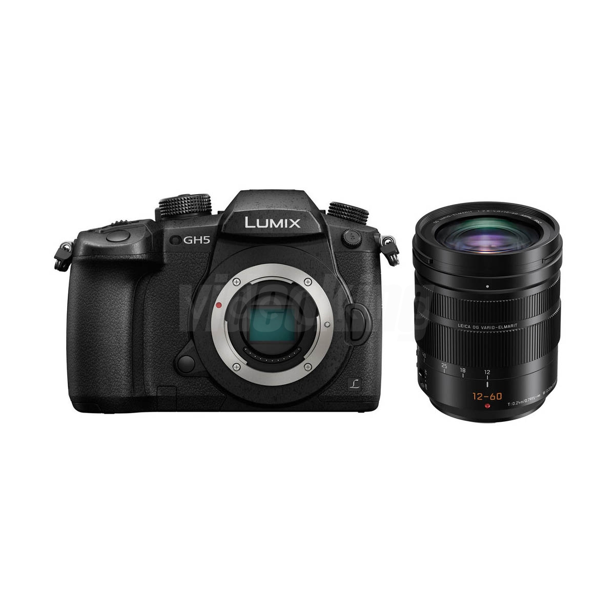 Panasonic Lumix DMC-GH5 + Leica 12-60 mm DG F2.8-4