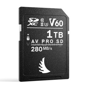 SD 1TB V60