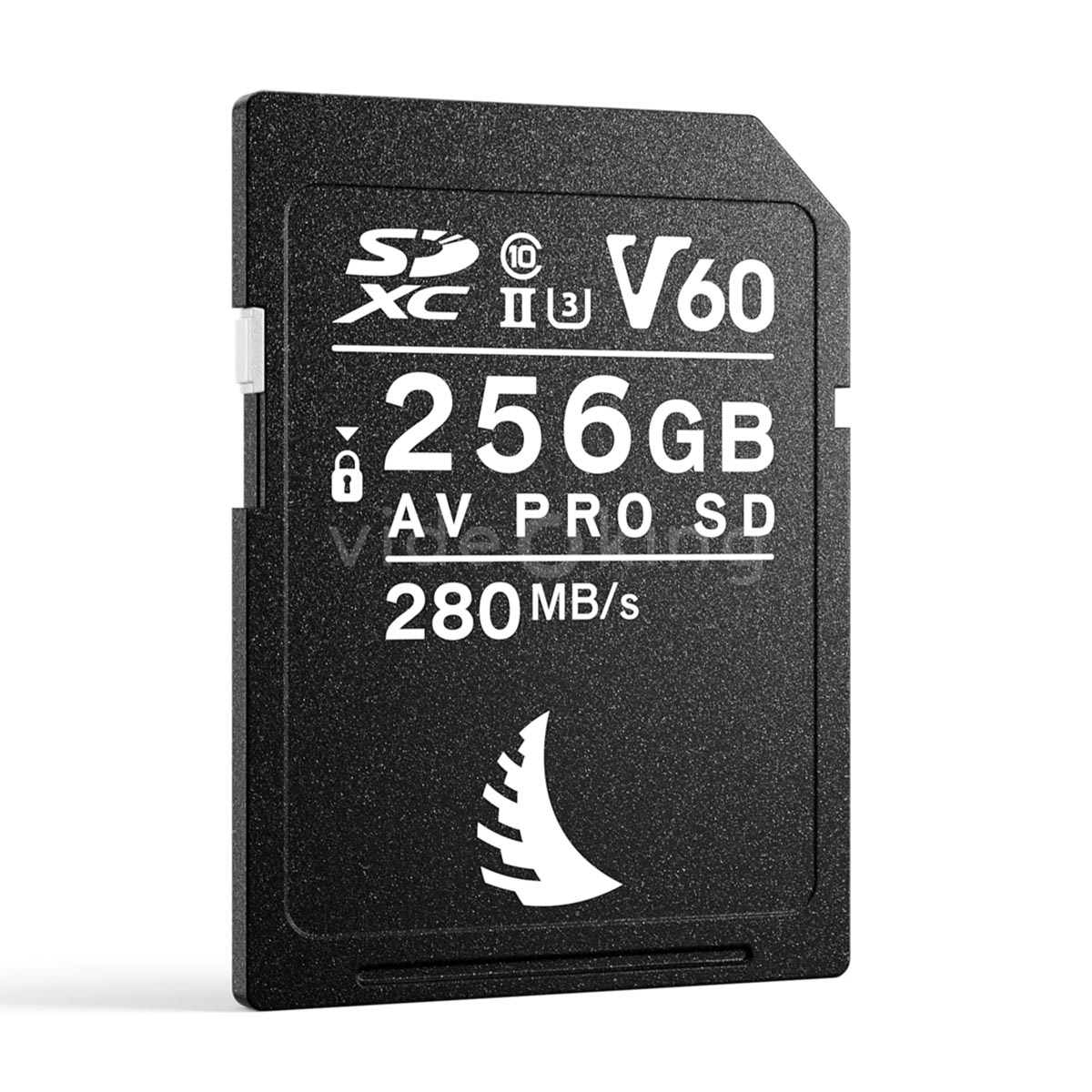 SD 256GB V60