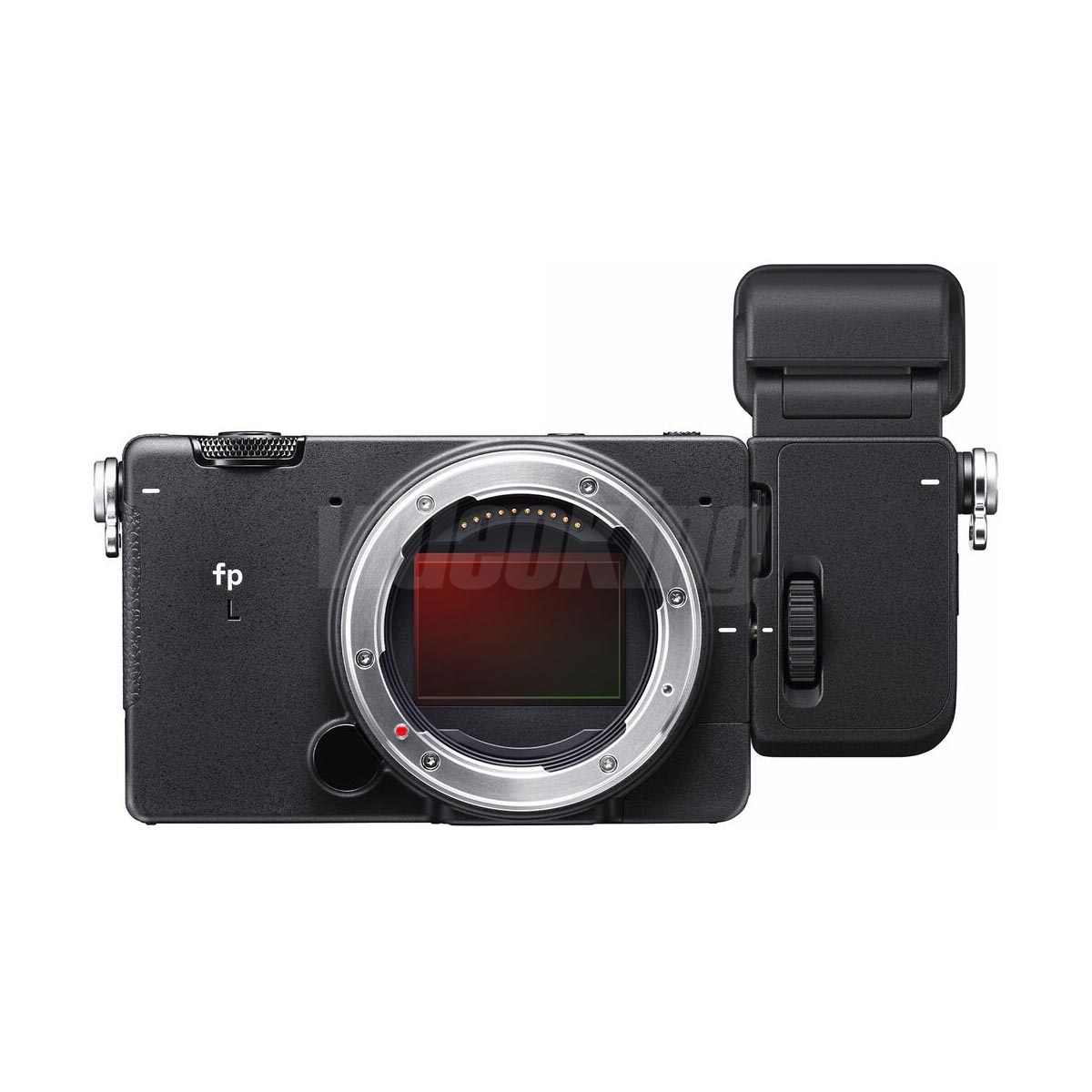 Sigma EVF-1