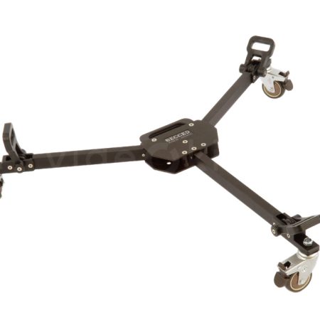 secced_dolly-75h_01_big